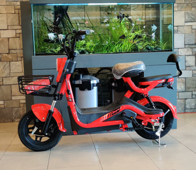 ELECTRIC BIKE HEI ZHEN ZHU YAZHI 3-SPEED, TURN SIGNALS, ALARM AND CHARGER EBIKE - A. Ally & Sons