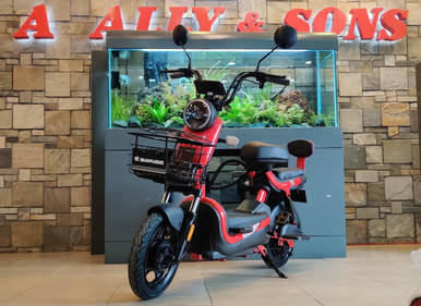 ELECTRIC BIKE SAIGE KUGE 500W 48V20AH - A. Ally & Sons