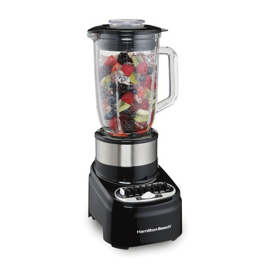 BLENDER HAMILTON BEACH 54210 14SP GLASS S/S MULTI M - A. Ally & Sons