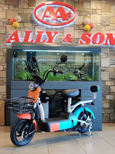 ELECTRIC BIKE XIAO MI DOU 3-SPEED WITH MIRRORS, TURN SIGNALS, ALARM AND CHARGER EBIKE - A. Ally & Sons