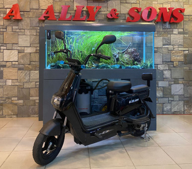 ELECTRIC BIKE GZ SPORT WITH MIRROR AND TURN SIGNAL - A. Ally & Sons