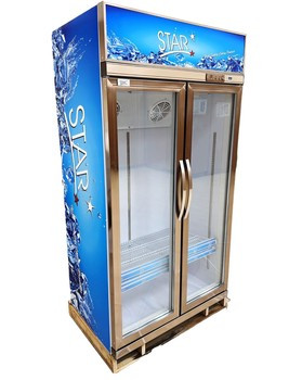 COOLER DISPLAY STAR SKD700-2D 24.7CF 2-DOOR - A. Ally & Sons